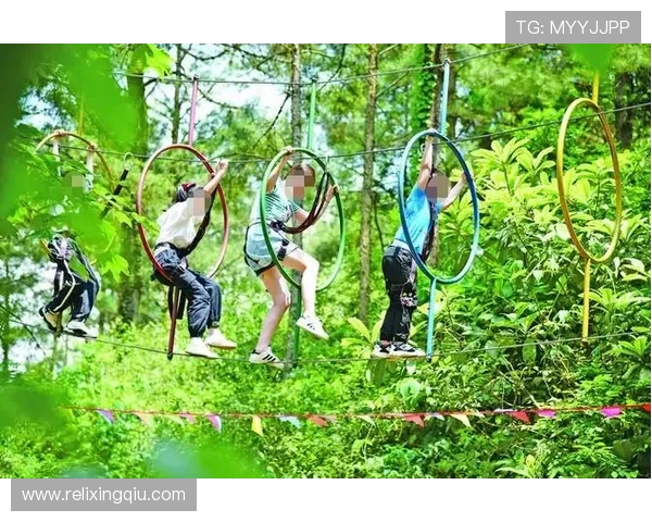 杨磊独家揭秘极限运动的乐趣与挑战分享心得与技巧