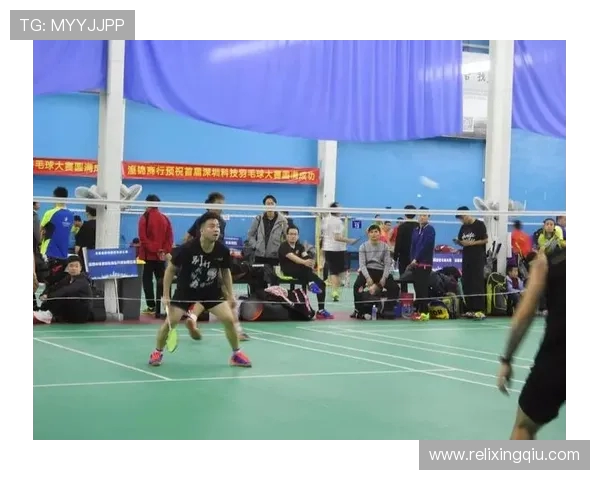 深圳羽毛球队控制策略分析及其对羽毛球发展的影响探讨 深圳羽毛球队控制策略分析及其对羽毛球发展的影响探讨