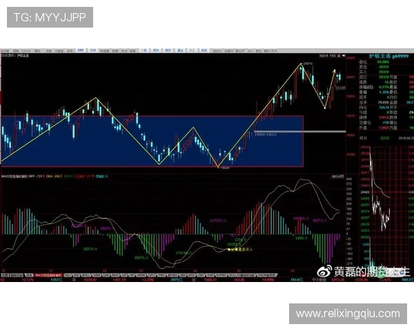 上海羽毛球队整体压制现象分析及其对赛事的影响探讨